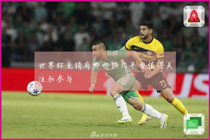 世界杯竞猜有哪些热门平台值得关注和参与