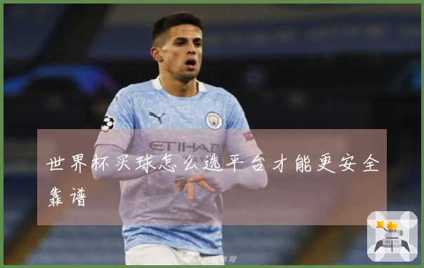 世界杯买球怎么选平台才能更安全靠谱