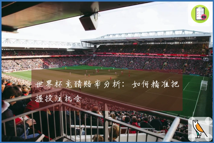 世界杯竞猜赔率分析：如何精准把握投注机会
