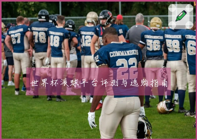 世界杯滚球平台评测与选购指南