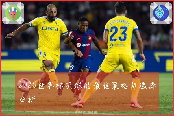 2026世界杯买球的最佳策略与选择分析