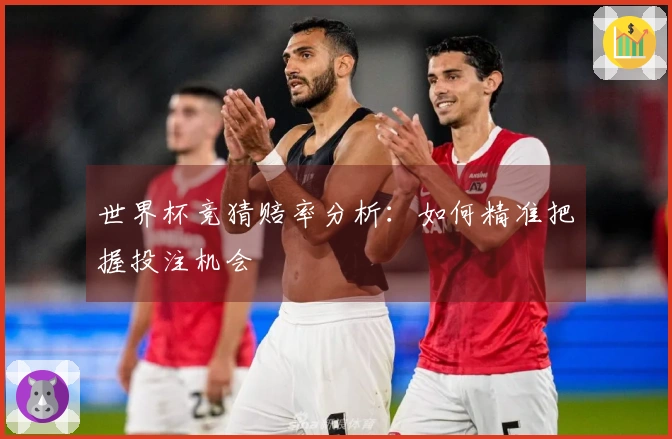世界杯竞猜赔率分析：如何精准把握投注机会