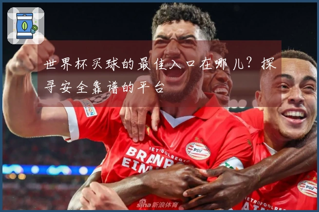 世界杯买球的最佳入口在哪儿？探寻安全靠谱的平台