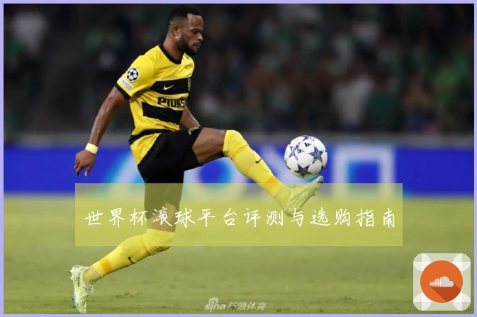 世界杯滚球平台评测与选购指南