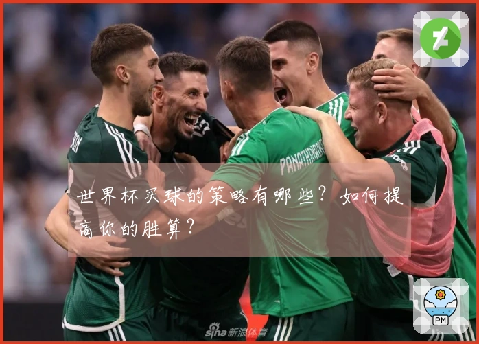 世界杯买球的策略有哪些？如何提高你的胜算？