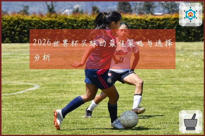 2026世界杯买球的最佳策略与选择分析